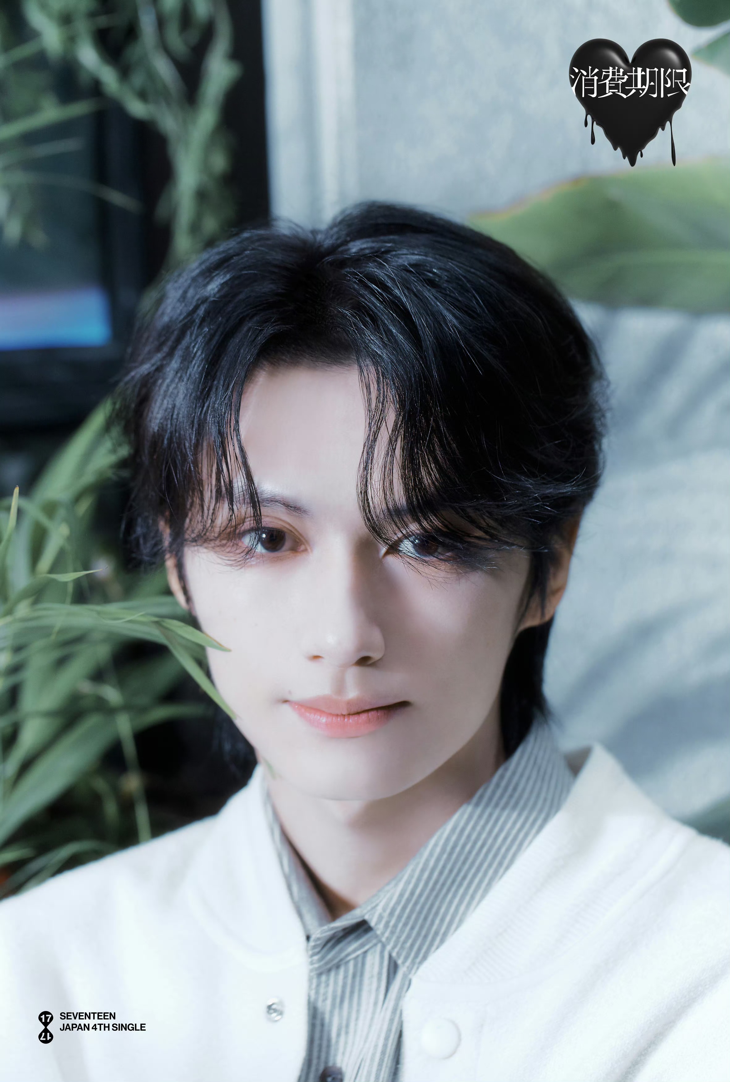 seventeen 文俊辉Jun - 高清图片，堆糖，美图壁纸兴趣社区