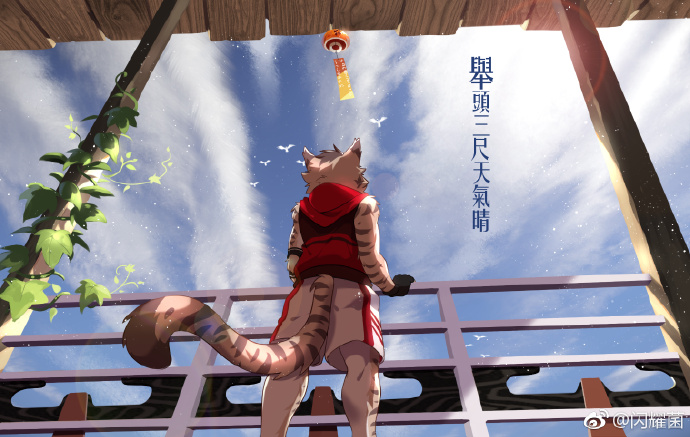 家有大猫- 堆糖